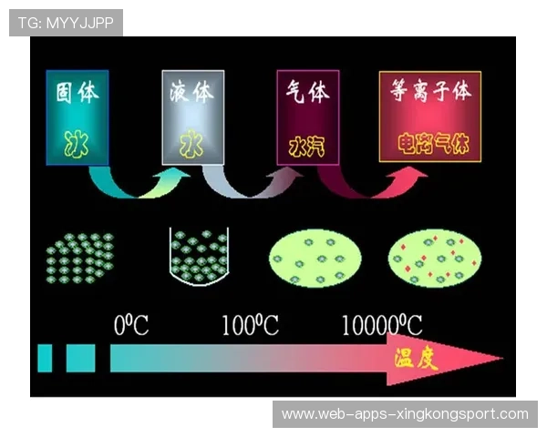 后防选材:是偏向经验还是偏向身体属性?争论再起